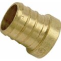 Reliance Worldwide Brass Test Plug UC512LFA